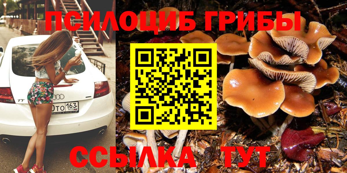 Псилоцибиновые грибы ЛСД Звенигород